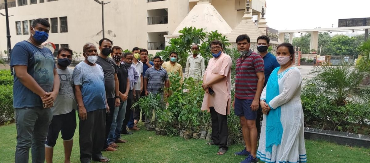 Monsoon Plantation at Society Premises