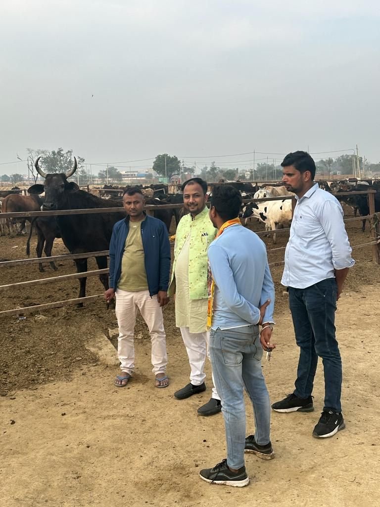 Seva at the Gaushala