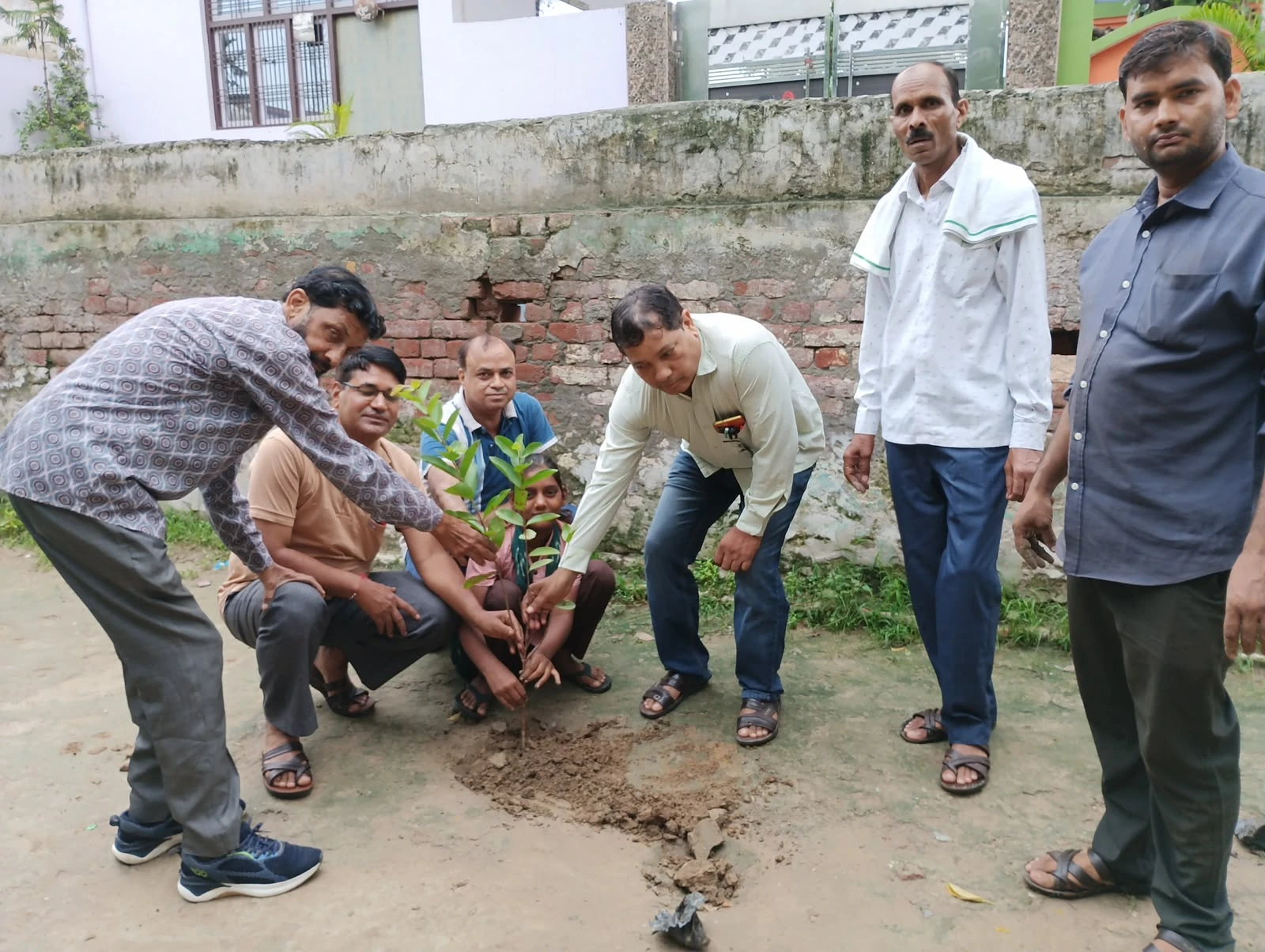 A festival of green: 1,100 saplings across seven locations