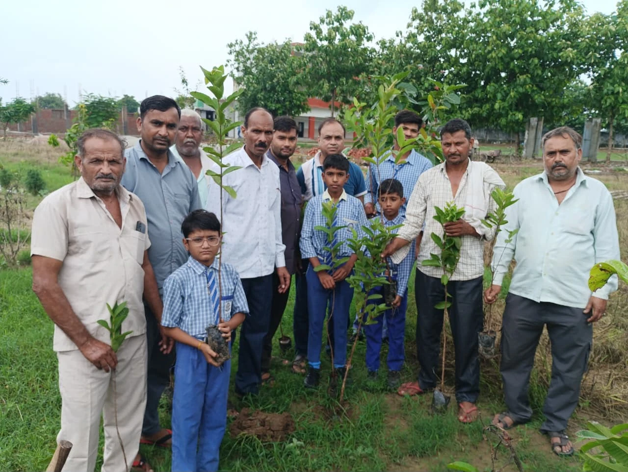 Saplings ready to go into the ground