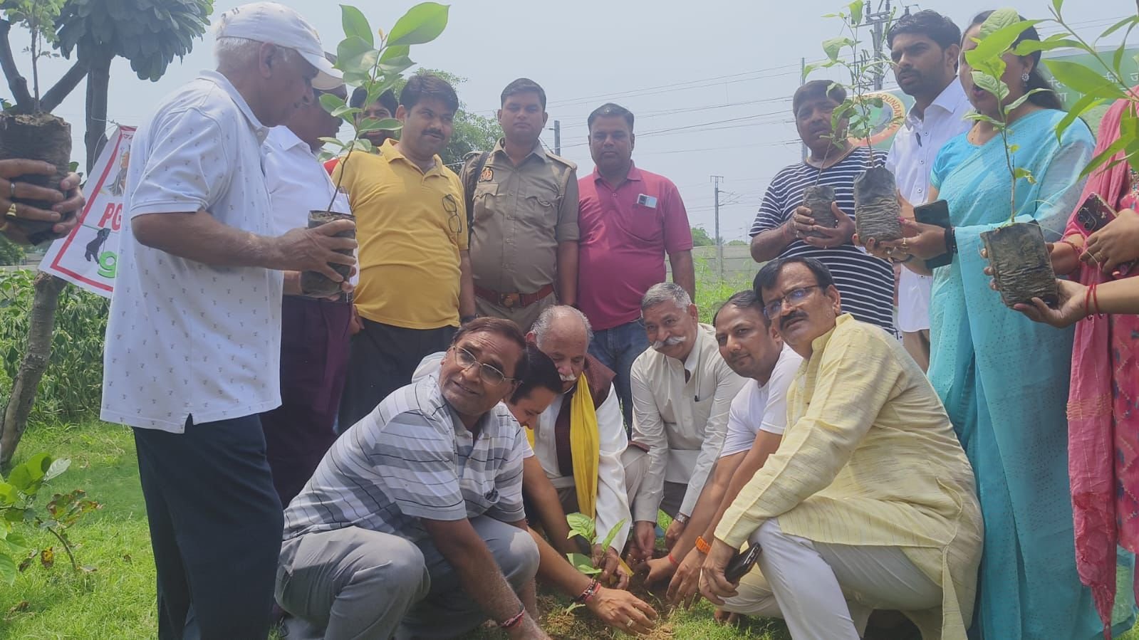 Community elders join the plantation (2024)